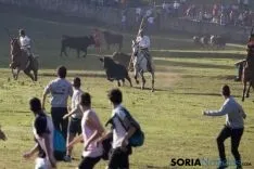 Foto 43 - As&iacute; ha sido la ma&ntilde;ana del Lavalenguas en im&aacute;genes