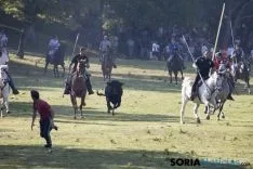 Foto 42 - As&iacute; ha sido la ma&ntilde;ana del Lavalenguas en im&aacute;genes