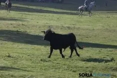 Foto 41 - As&iacute; ha sido la ma&ntilde;ana del Lavalenguas en im&aacute;genes