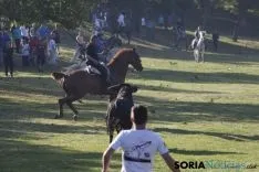 Foto 40 - As&iacute; ha sido la ma&ntilde;ana del Lavalenguas en im&aacute;genes