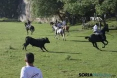 Foto 38 - As&iacute; ha sido la ma&ntilde;ana del Lavalenguas en im&aacute;genes