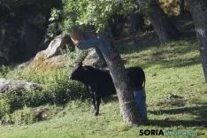 Foto 37 - As&iacute; ha sido la ma&ntilde;ana del Lavalenguas en im&aacute;genes