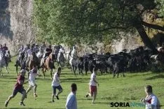 Foto 35 - As&iacute; ha sido la ma&ntilde;ana del Lavalenguas en im&aacute;genes