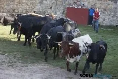 Lavalenguas 2017 / Maria Ferrer