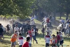 Lavalenguas 2017 / Maria Ferrer