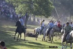 Lavalenguas 2017 / Maria Ferrer