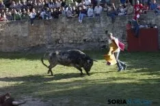 Lavalenguas 2017 / Maria Ferrer