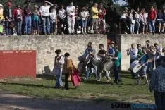 Lavalenguas 2017 / Maria Ferrer