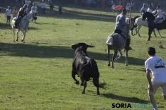 Lavalenguas 2017 / Maria Ferrer