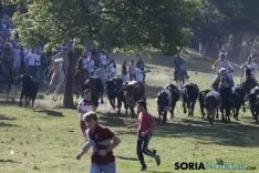 Lavalenguas 2017 / Maria Ferrer