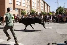 Encierro / María Ferrer