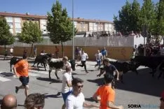 Encierro / María Ferrer