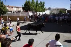 Encierro / María Ferrer