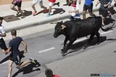 Encierro / María Ferrer