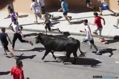 Encierro / María Ferrer