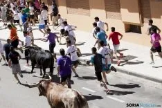 Encierro / María Ferrer
