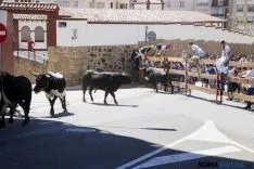 Encierro / María Ferrer