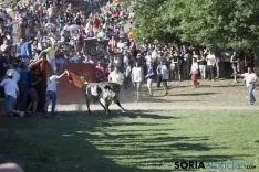Lavalenguas 2017 / Maria Ferrer