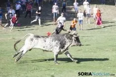 Lavalenguas 2017 / Maria Ferrer