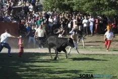 Lavalenguas 2017 / Maria Ferrer
