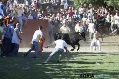 Lavalenguas 2017 / Maria Ferrer