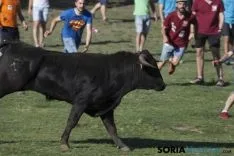 Lavalenguas 2017 / Maria Ferrer