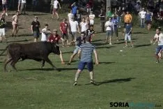Lavalenguas 2017 / Maria Ferrer