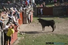 Lavalenguas 2017 / Maria Ferrer