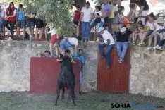 Lavalenguas 2017 / Maria Ferrer