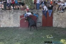 Lavalenguas 2017 / Maria Ferrer