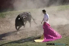 Lavalenguas 2017 / Maria Ferrer