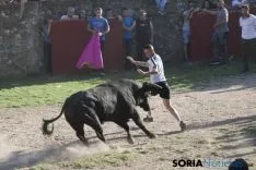 Lavalenguas 2017 / Maria Ferrer