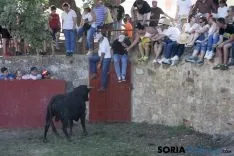 Lavalenguas 2017 / Maria Ferrer