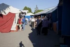 Feria del Vino San Esteban / María Ferrer