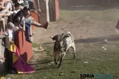 Lavalenguas 2017 / Maria Ferrer