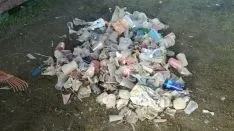 Tareas de recogida en Valonsadero. SN