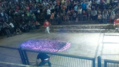 Foto 55 - Galer&iacute;a de fotos: Una veintena de pasadores para cumplir con la tradici&oacute;n