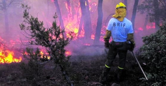 Este verano se incrementa el riesgo de incendios forestales.