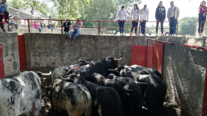 Los Jurados hacen su porra para La Saca