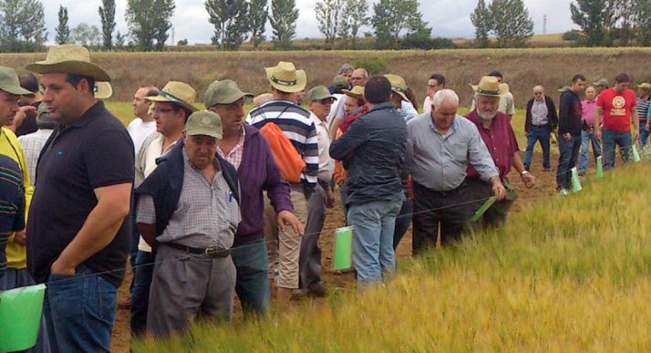 Una visita anterior.