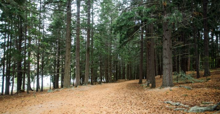 La cuantía prevista supera los 181.000€.