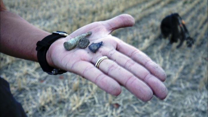 Restos óseos extraidos de la fosa común de la localidad. /ASRD