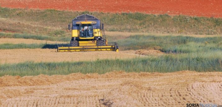 Una cosechadora en una campaña anterior. /SN