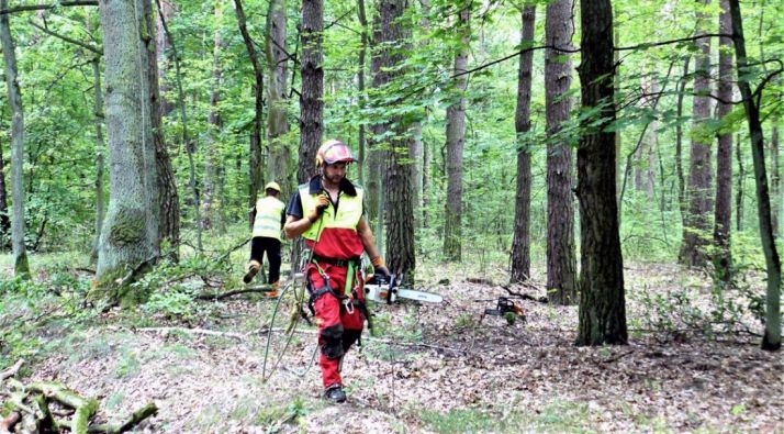 La mejora del uso de pistas forestales para la extinción de incendios, en el programa FORCIP+