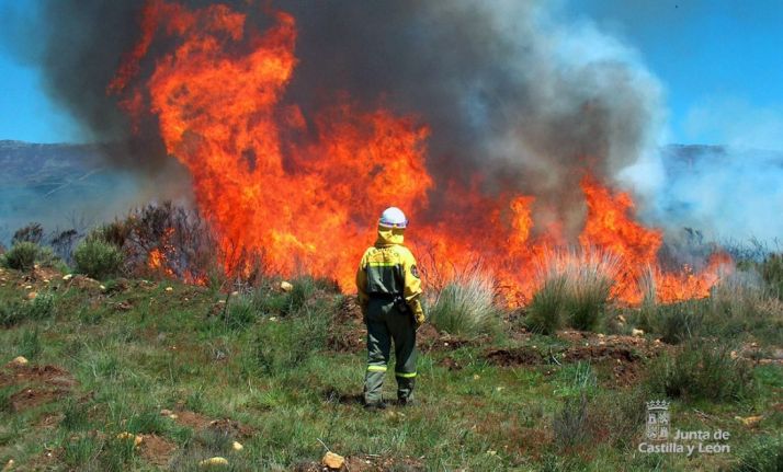 Decretado por la Junta este miércoles. /SN