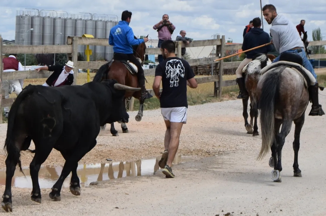 Foto 10 - 40 fotos `populares&acute; de las Fiestas de San Juan 2017
