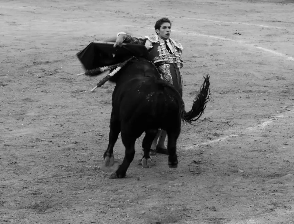 Foto 11 - 40 fotos `populares&acute; de las Fiestas de San Juan 2017