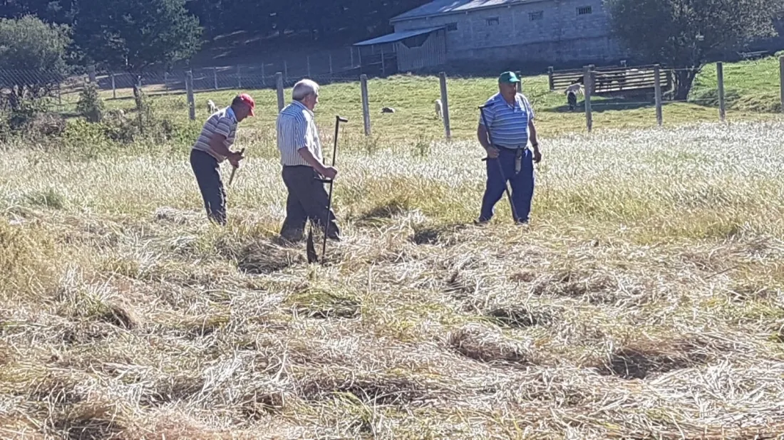 Los vecinos han recordado antiguas tareas tradicionales del monte. / S.N.