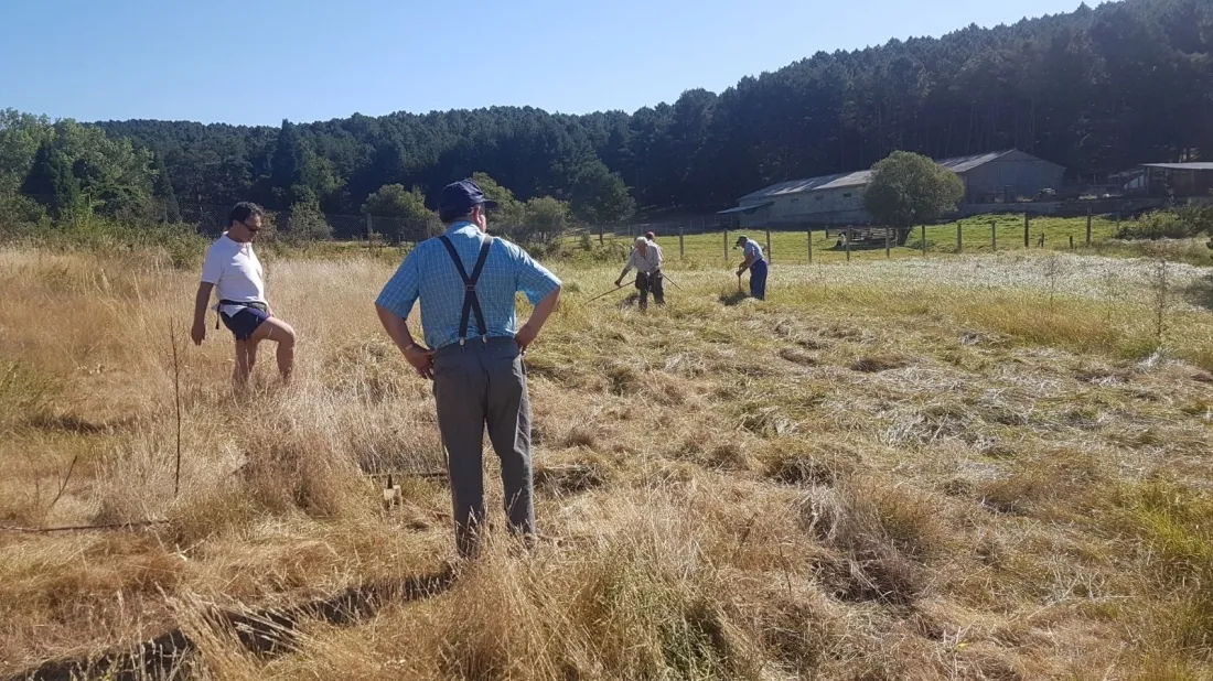 Los vecinos han recordado antiguas tareas tradicionales del monte. / S.N.