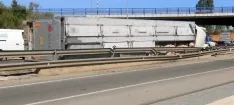 Foto 26 - #LoMejorde2017 Vuelca un cami&oacute;n de cerdos en la rotonda del Caballo Blanco